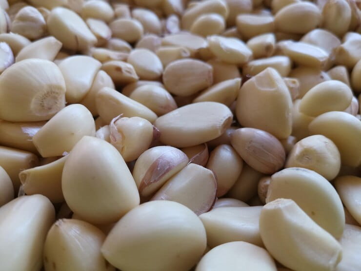 تصویر 2 از خرید و قیمت سیر مرواریدی + فروش صادراتی